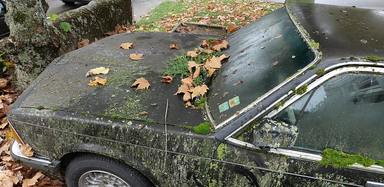 BMW 7er E23 728i