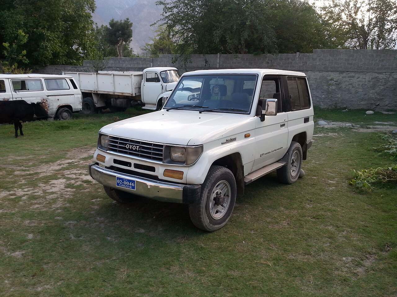 Toyota Land Cruiser J80 4.2 TD HDJ80, 1HD-T