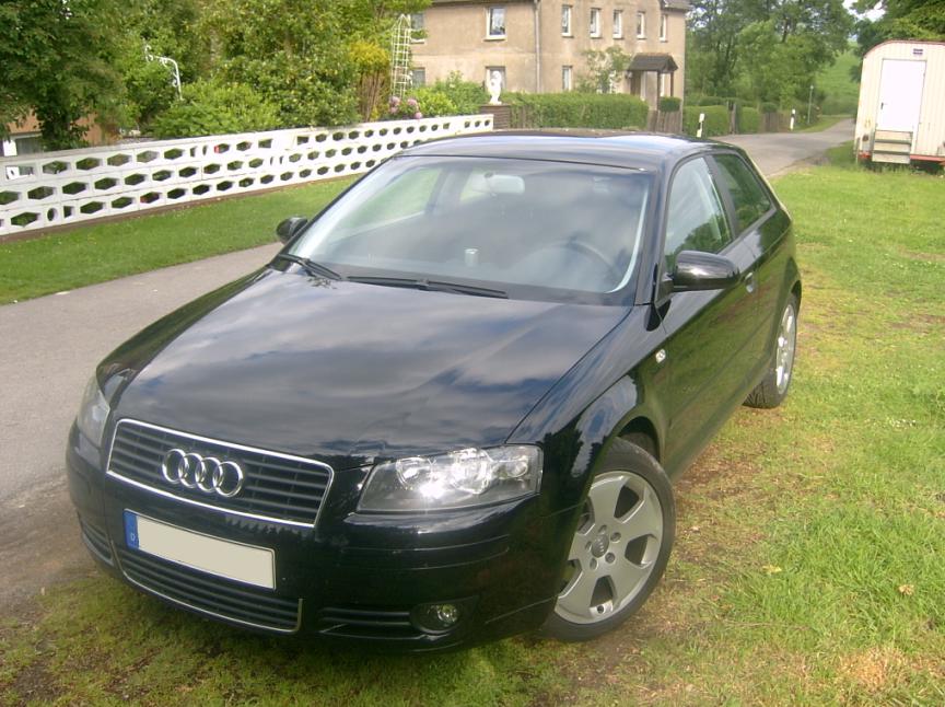 Audi A3 8P 2.0 TDI