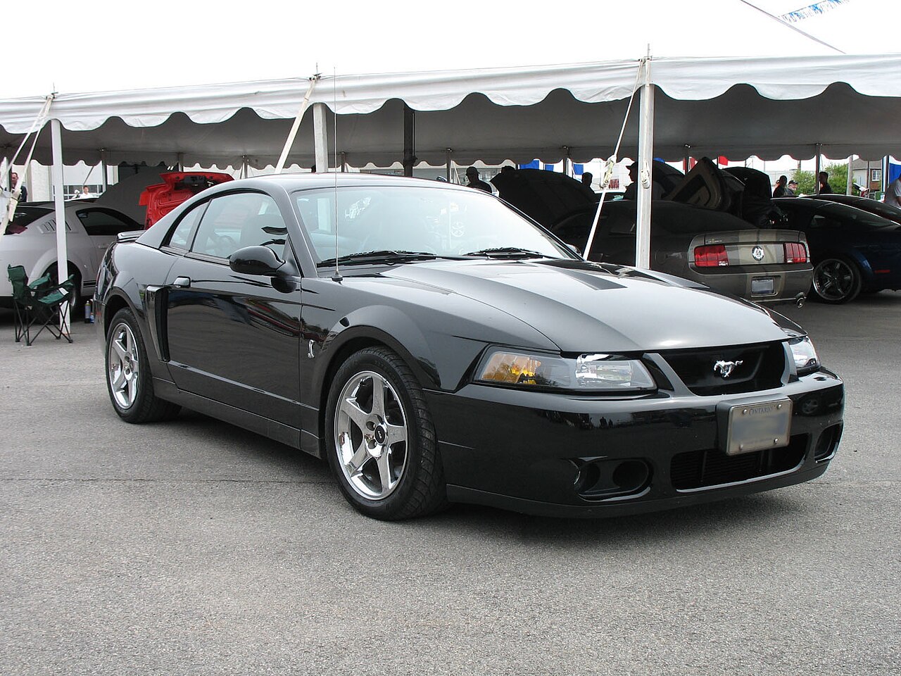 Ford Mustang Mach 1 2003