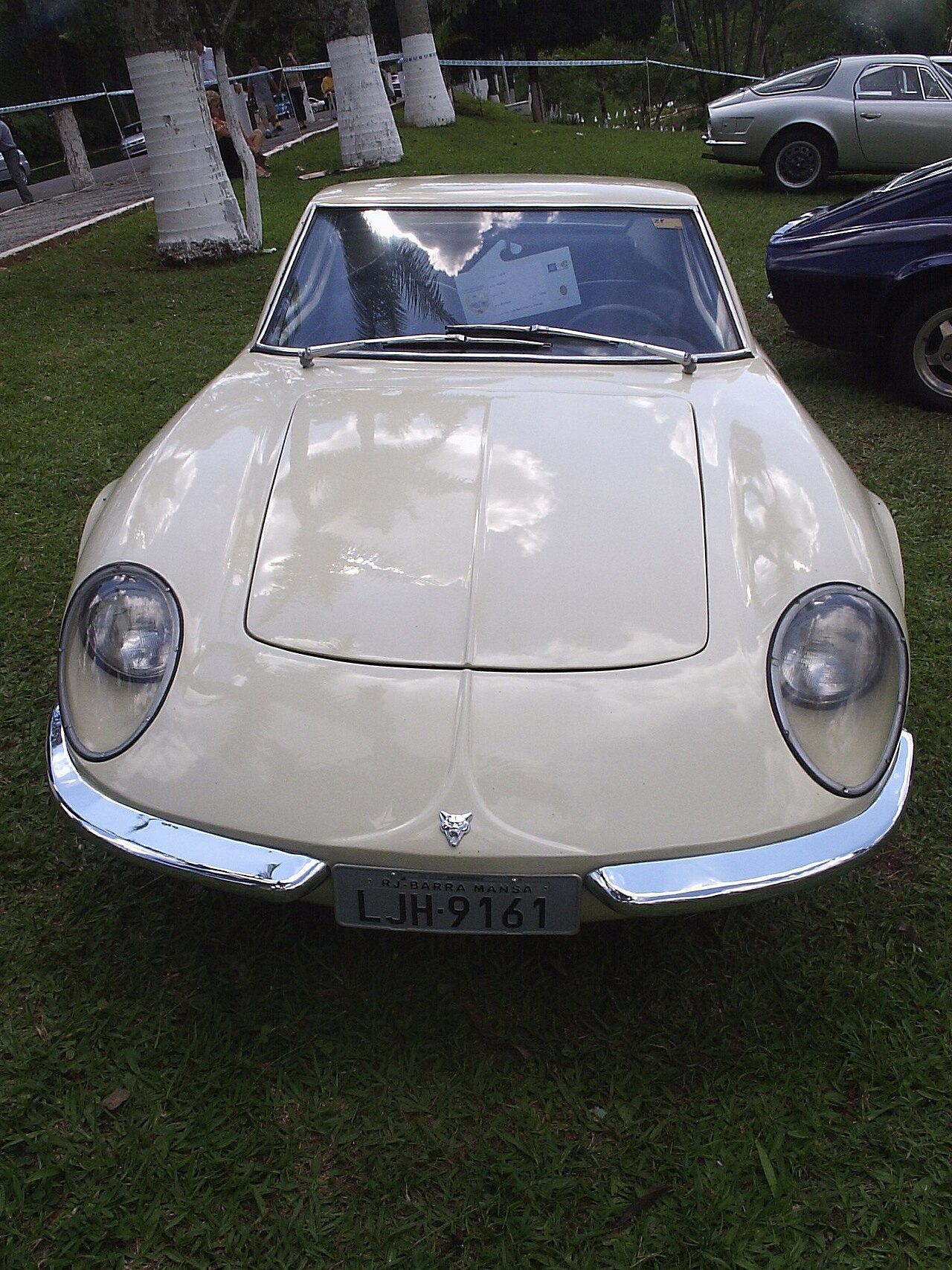 Puma GT VW 1600