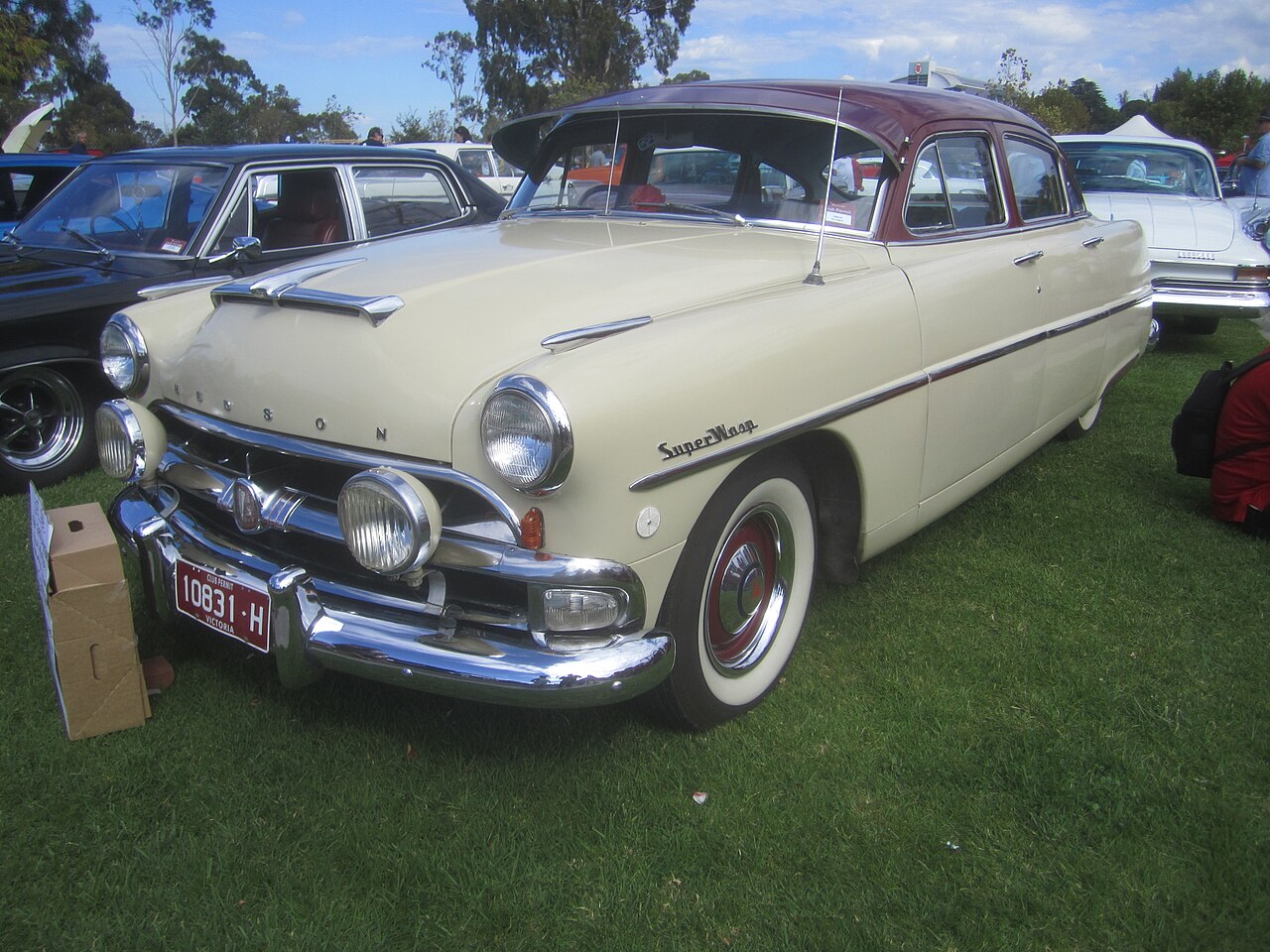 AMC Hudson Wasp