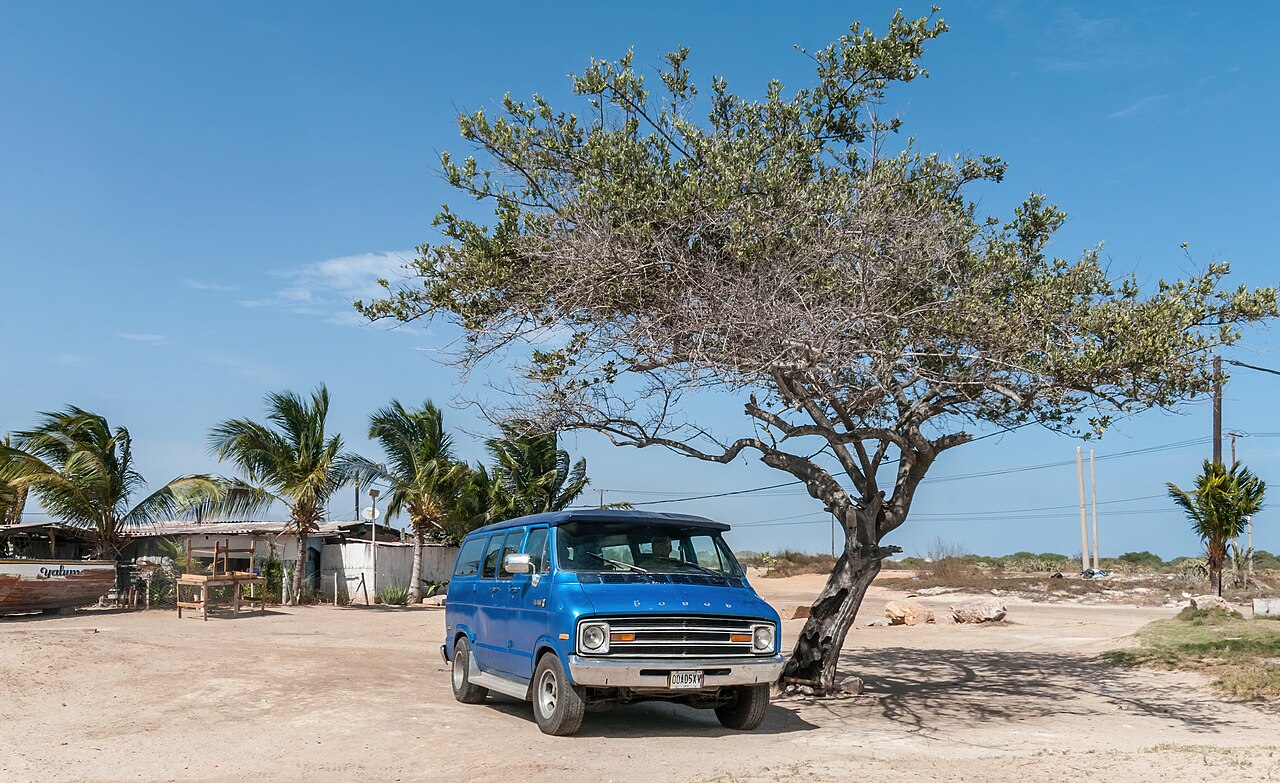 Dodge Ram Van